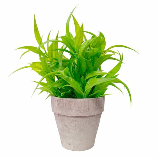 Декоративно Растение Versa Пластмаса Желязо (10,5 x 23 x 10,5 cm)