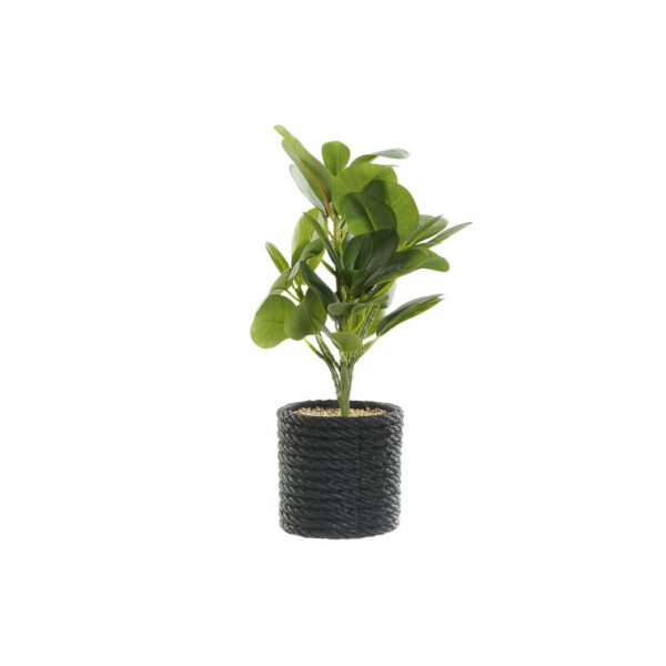 Декоративно Растение DKD Home Decor Черен Зелен PVC EVA (16 x 18 x 32 cm)