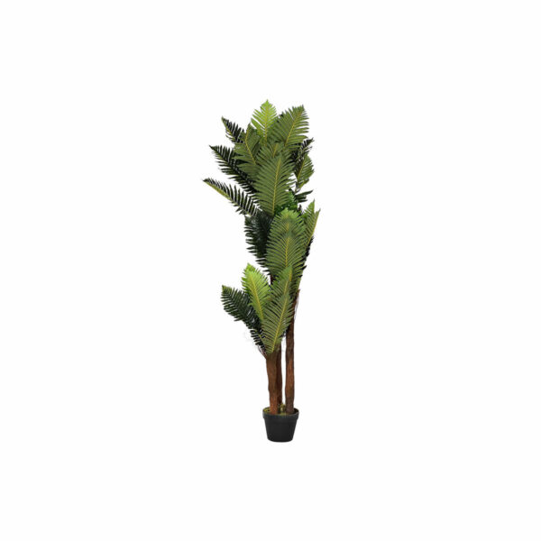 Декоративно Растение DKD Home Decor Зелен PE (40 x 40 x 150 cm)
