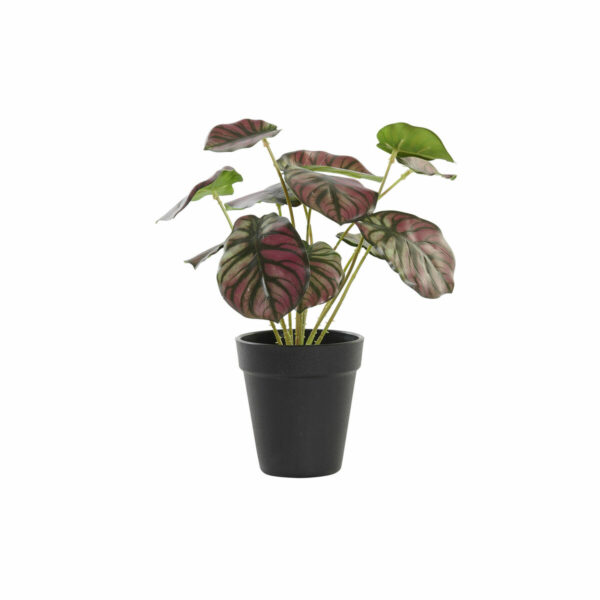 Декоративно Растение DKD Home Decor Розов Зелен PE (10 x 10 x 27 cm)