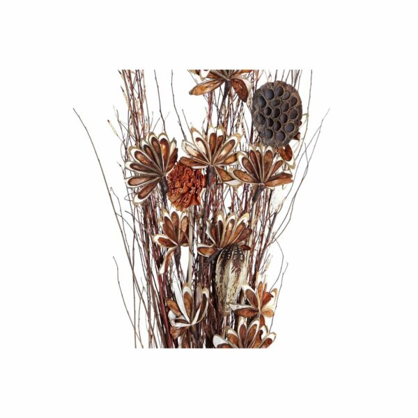 Букет DKD Home Decor Червен Кафяв Бял Сухо цвете (30 x 30 x 100 cm) (2 броя)
