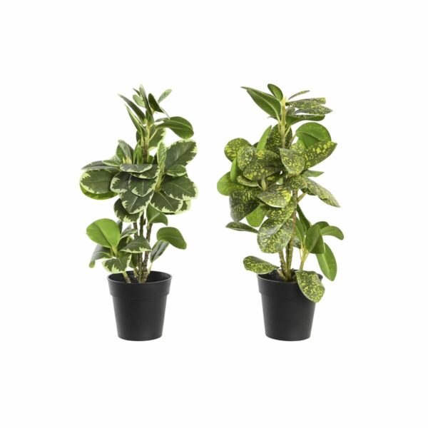Декоративно Растение DKD Home Decor Зелен PP PE Фикус (24 x 22 x 35 cm) (2 броя)