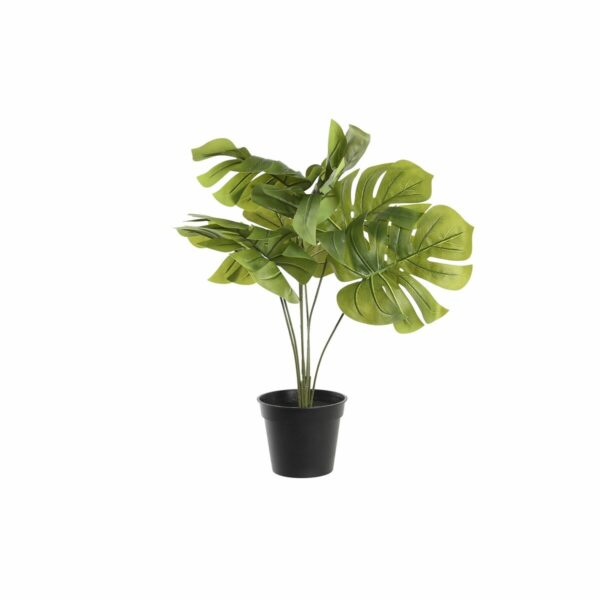 Декоративно Растение DKD Home Decor Monstera Зелен PP PE (40 x 30 x 50 cm)