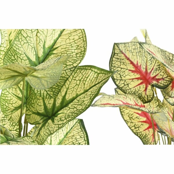 Декоративно Растение DKD Home Decor Червен Бял Зелен PP PE (30 x 43 x 54 cm) (2 броя)