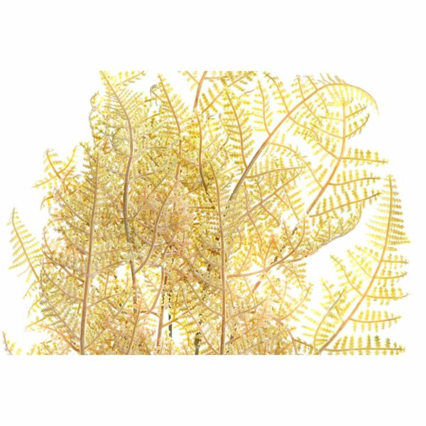 Декоративно Растение DKD Home Decor Метал Оранжев Жълт PE (12 x 12 x 46 cm) (2 броя)