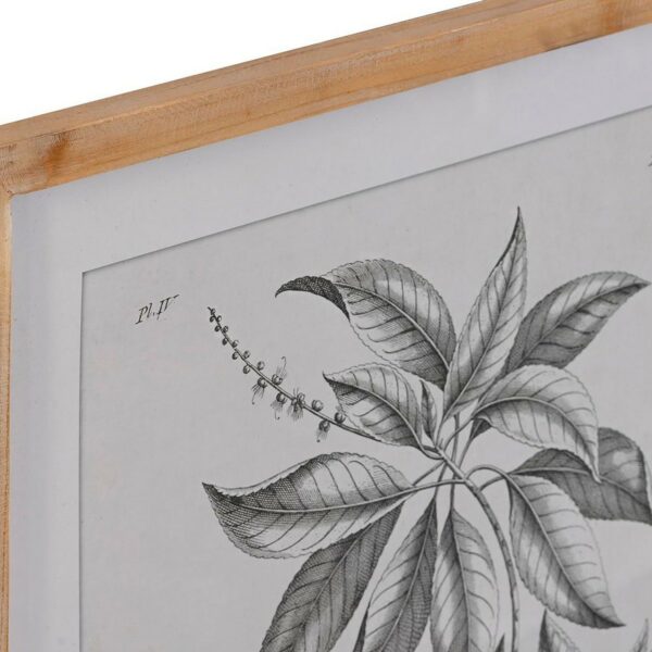 Картина DKD Home Decor Ела Кристал Ботанически растения (50 x 65 x 2 cm) (4 броя)