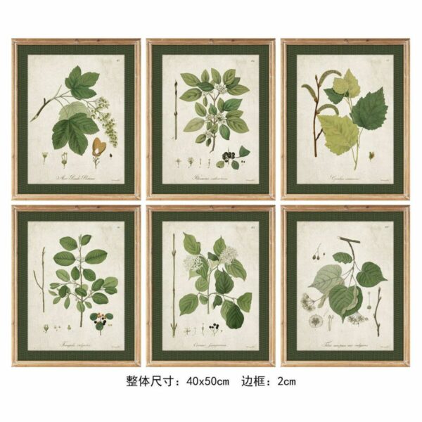 Картина DKD Home Decor Ботанически растения (40 x 50 x 2.5 cm) (6 броя)