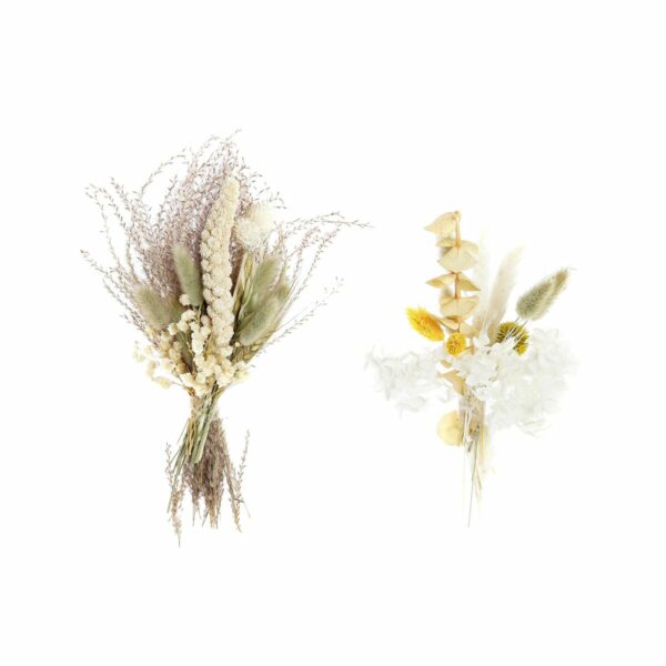 Букет DKD Home Decor Бежов Бял Жълт Сухо цвете (10 x 5 x 23 cm) (2 броя)
