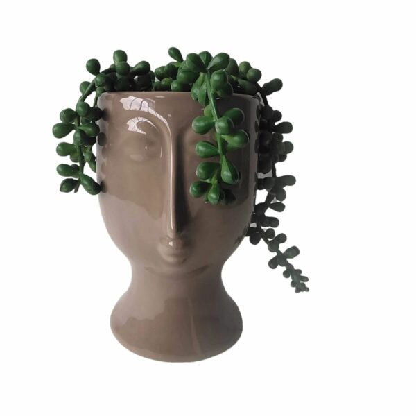 Декоративно Растение DKD Home Decor Керамика PE (11 x 10 x 16 cm)