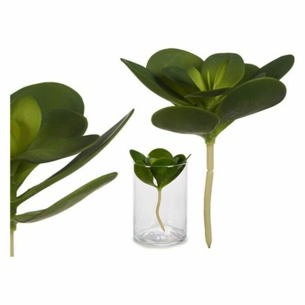 Декоративно Растение Зелен Пластмаса (16 x 25 x 16 cm) (18 x 23 x 18 cm)