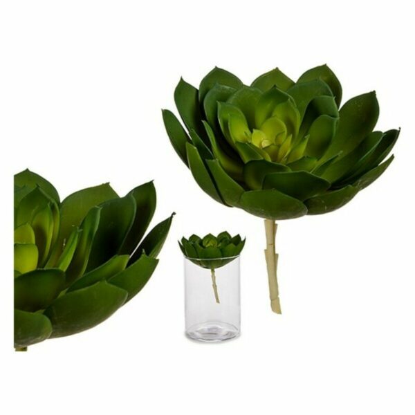 Декоративно Растение Пластмаса