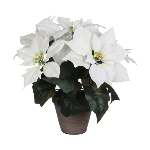 Декоративно Растение Бял PVC (27 X 35 CM)