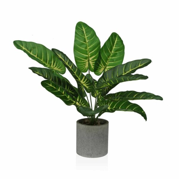 Декоративно Растение Versa 15 x 43 x 15 cm хартия Пластмаса