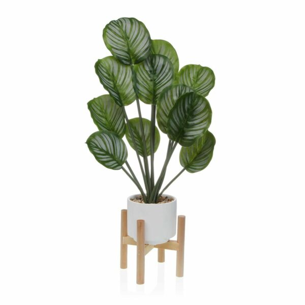 Декоративно Растение Versa Дървен Метал Керамика полистирен Пластмаса 33 x 61 x 38 cm