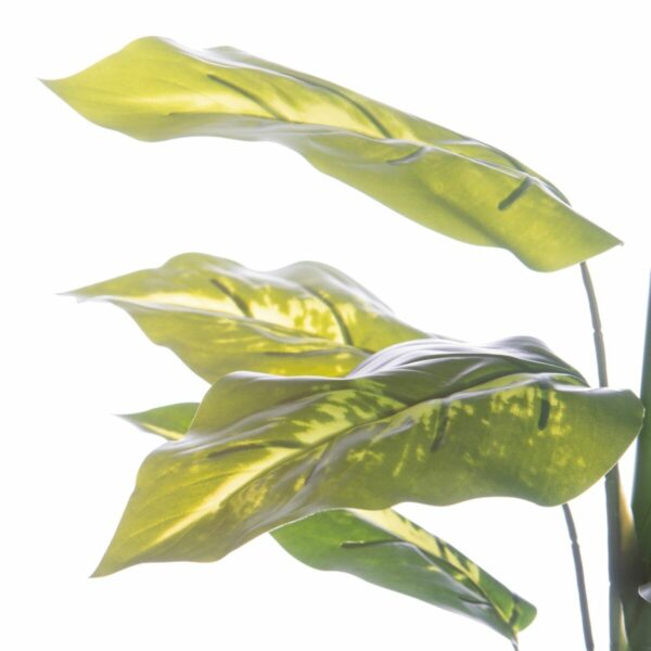 Декоративно Растение PVC Желязо 45 cm