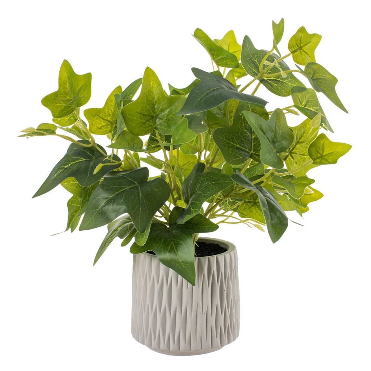 Декоративно Растение Зелен PVC 37 x 37 cm