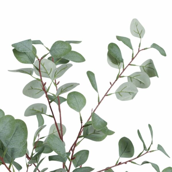 Декоративно Растение полиетилен Евкалипт 80 x 82 x 180 cm