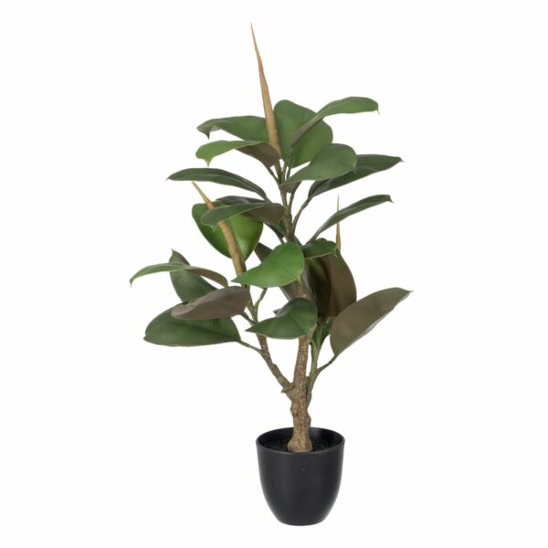 Декоративно Растение полиетилен Желязо PEVA Tamm 76 cm