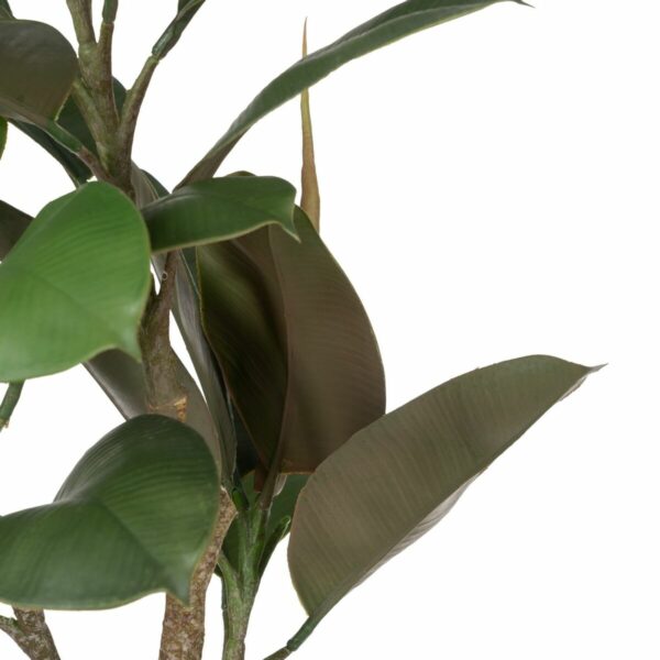 Декоративно Растение полиетилен Желязо PEVA Tamm 76 cm