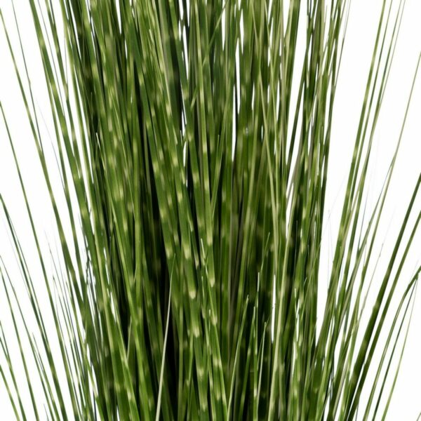Декоративно Растение PVC Стомана Цимент 152 cm 15,5 x 15,5 x 15,5 cm