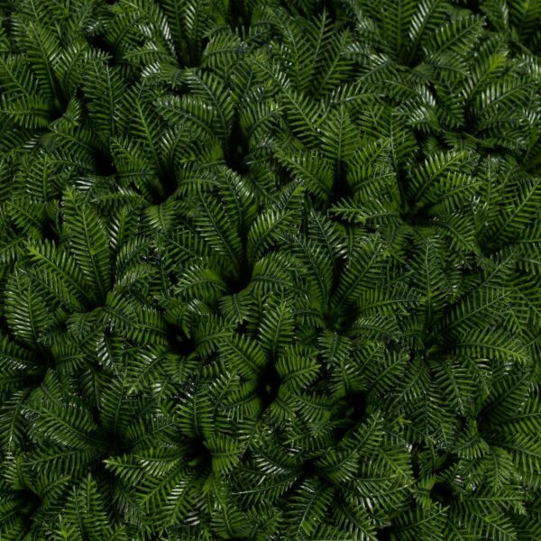 Декоративно Растение Зелен PVC 20 x 20 cm