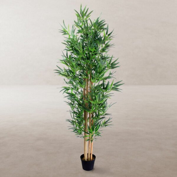 Декоративно Растение Цимент Състав Бамбук 210 cm