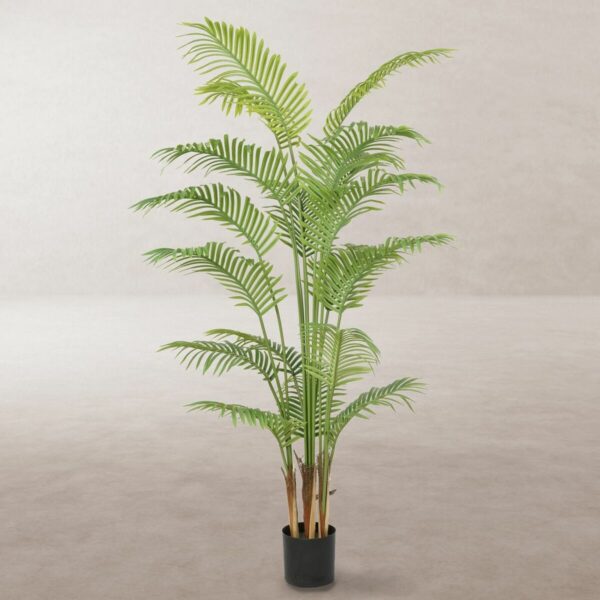 Декоративно Растение Полиуретан Цимент Areca 180 cm