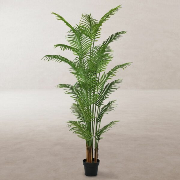 Декоративно Растение Полиуретан Цимент Areca 210 cm