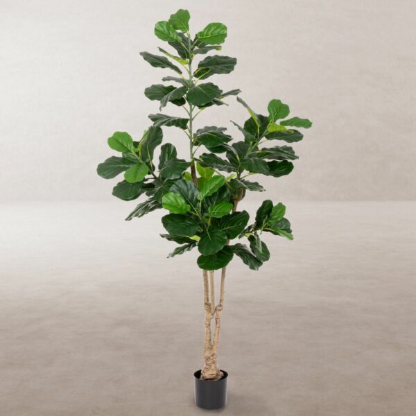Декоративно Растение Полиуретан Цимент Фикус 175 cm