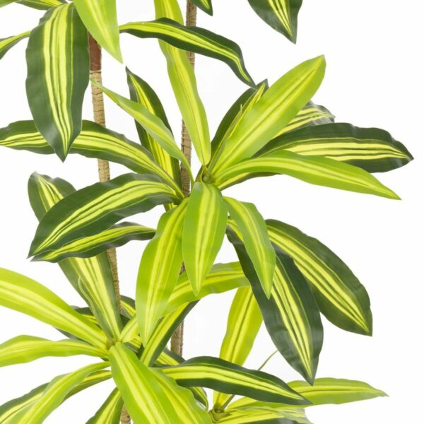 Декоративно Растение Полиуретан Цимент 180 cm