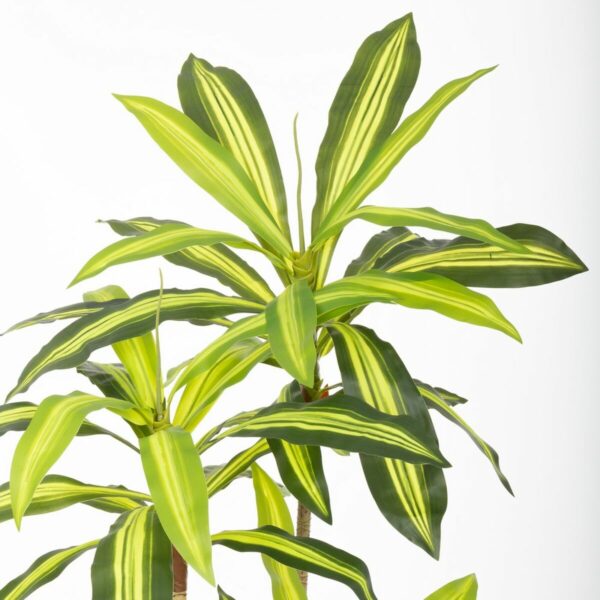 Декоративно Растение Полиуретан Цимент 180 cm