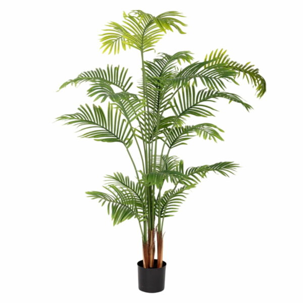 Декоративно Растение Полиуретан Цимент Areca 150 cm