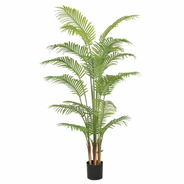 Декоративно Растение Полиуретан Цимент Areca 180 cm