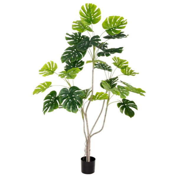 Декоративно Растение Полиуретан Цимент Monstera 180 cm