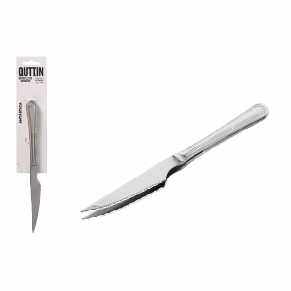 Комплект Ножове за Месо Quttin Antartica 21,5 x 1,9 cm 2 Части